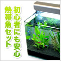 ポイントが一番高い水槽屋.com（熱帯魚・水草通販）