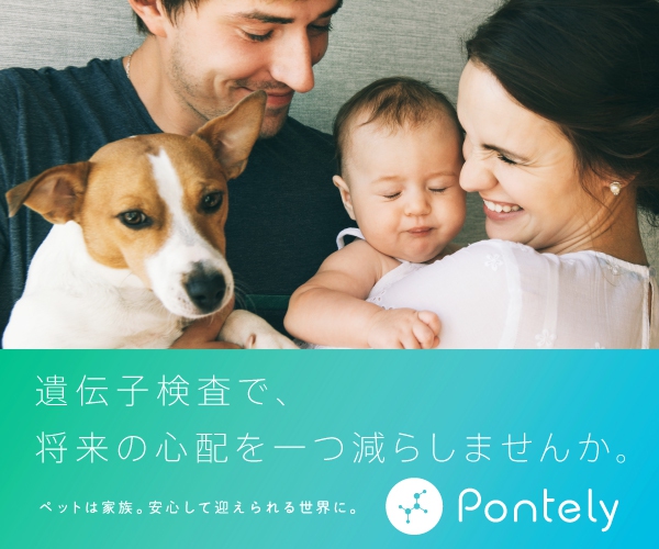 ポイントが一番高い犬の遺伝子検査・DNA検査（Pontely）