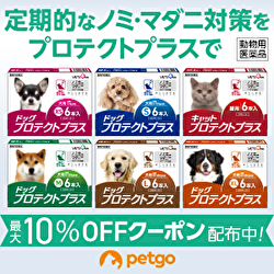 ポイントが一番高いペットゴー（petgo）