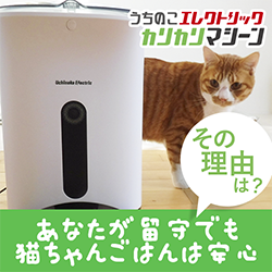 猫犬用自動給餌器【カリカリマシーン】のポイントサイト比較