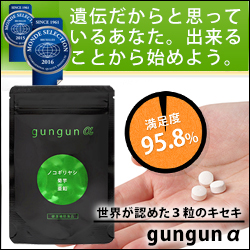 GUNGUN（ぐんぐん）ヘアケア育毛発毛サプリメントのポイントサイト比較