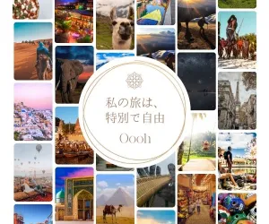 くすりのレデイハートショップのポイントサイト比較