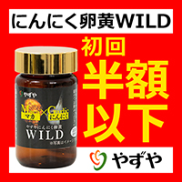 ポイントが一番高いにんにく卵黄WILD（やずや）初回980円