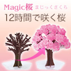 ポイントが一番高いマジック桜（Magic桜）