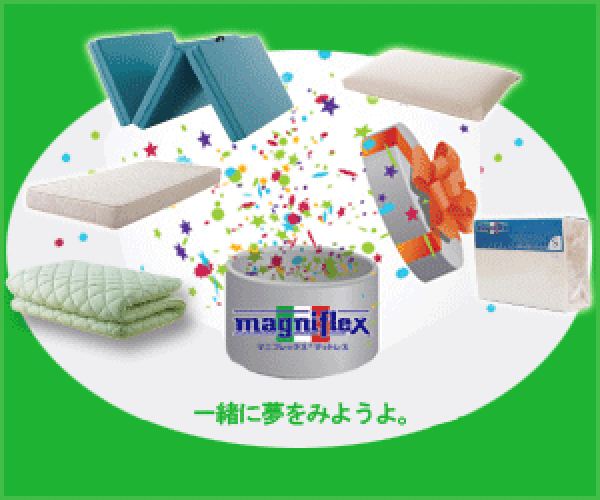 ポイントが一番高いマニフレックス（magniflex）