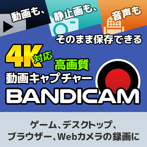 ポイントが一番高いBandicam（高性能動画キャプチャーソフト）