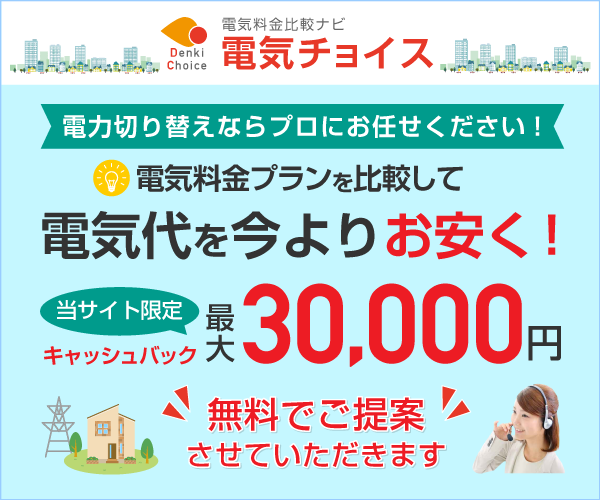 ポイントが一番高い電気料金比較「電気チョイス」