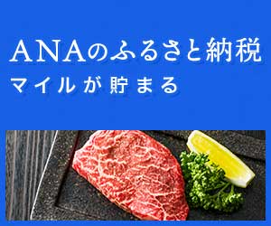 ポイントが一番高いANAのふるさと納税（定率ポイントバック）