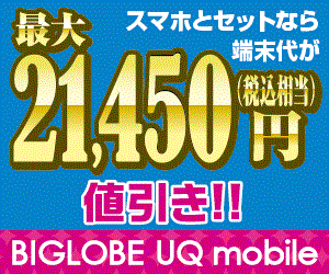 ポイントが一番高いBIGLOBE UQモバイル（端末セット）