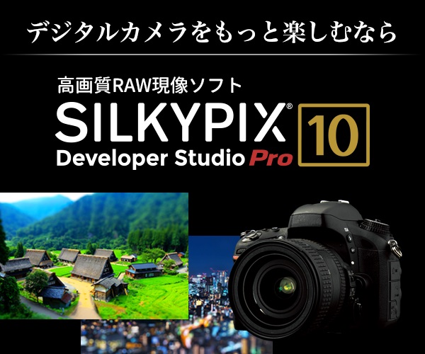 ポイントが一番高いSILKYPIX Developer Studio Pro10