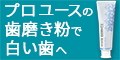 ポイントが一番高いホワイトエッセンス（歯磨き粉）