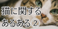ポイントが一番高い猫に関するあるあるメディア②【スマホ専用】