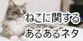 ポイントが一番高い猫に関するあるあるメディア【スマホ専用】