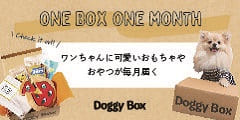 ポイントが一番高いDoggy Box（愛犬向けおもちゃとおやつの定期便）