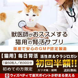 ポイントが一番高い猫用 毎日腎活「活性炭＆ウラジロガシ」