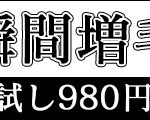 簡単増毛ウェルシークレット（暮らしの幸便）