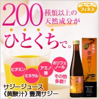 ポイントが一番高い豊潤サジー（500円モニター）30日分