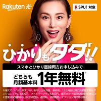 ポイントが一番高い楽天ひかり