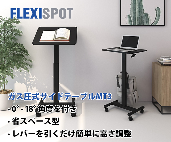 ポイントが一番高いFlexiSpot（電動昇降デスク）fleximounts