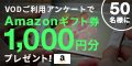 動画利用(VOD)に関するアンケートキャンペーンのポイントサイト比較