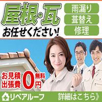 ポイントが一番高いリペアルーフ（屋根修理）見積り