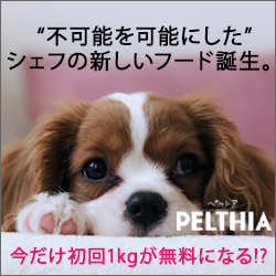 ポイントが一番高いPELTHIA（ペルシア）