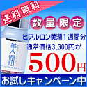 ポイントが一番高いヒアルロン美潤（8日間モニターセット）スマホ