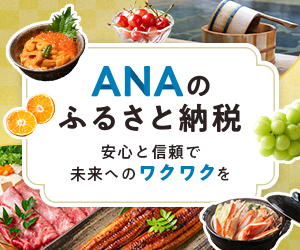 ポイントが一番高いANAのふるさと納税（定額ポイントバック）