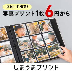 しまうまプリント（写真プリント）のポイントサイト比較