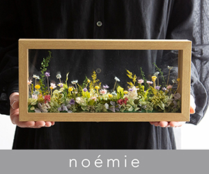 noemie（ノエミ）のポイントサイト比較