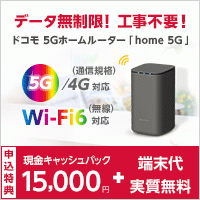 ポイントが一番高いドコモ home 5G（ホームルーター）