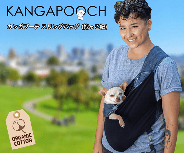 ポイントが一番高いKANGAPOOCH（カンガプーチ）