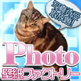 ポイントが一番高いPhoto壁紙ファクトリー（550円コース）