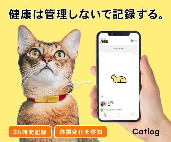 ポイントが一番高いCatlog