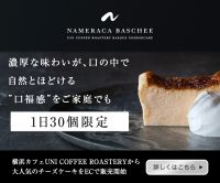 ポイントが一番高い生クリームつき なめらかバスチー