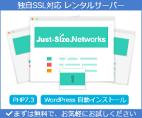 Just-Size.Networks レンタルサーバーのポイントサイト比較