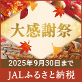 ポイントが一番高いJALふるさと納税