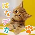 ポイントが一番高いはなデカPET（330円コース）