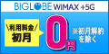 ポイントが一番高いBIGLOBE WiMAX +5G（端末申し込み）