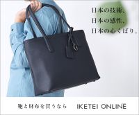 ポイントが一番高いIKETEI（イケテイ）ONLINE