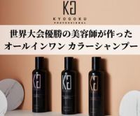 ポイントが一番高いKYOGOKU PROFESSIONAL（カラーシャンプー）