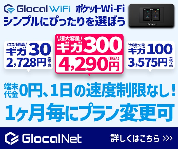 ポイントが一番高いGlocal WiFi（クラウドWiFi大容量100プラン）