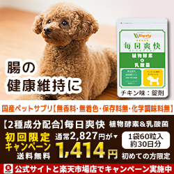 ポイントが一番高い特攻魂（iOS）