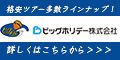 ポイントが一番高いビッグホリデー（国内ツアー）