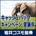 ポイントが一番高い岩井コスモ証券（株式）