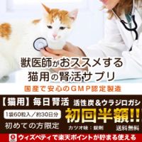 ポイントが一番高い猫用 毎日腎活「活性炭＆ウラジロガシ」お試し