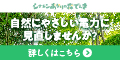 シナネンあかりの森でんきのポイントサイト比較