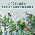 ポイントが一番高いAND PLANTS（アンドプランツ）