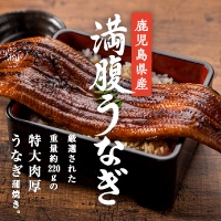 ポイントが一番高い国産特大うなぎ専門店 みさら（味更）