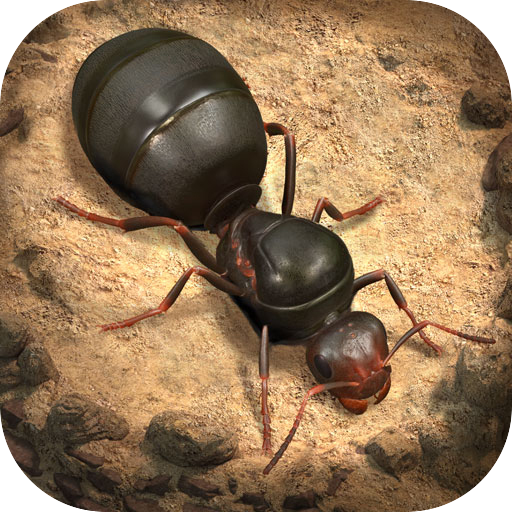 ポイントが一番高いザ・アンツ：アンダーグラウンド キングダム（StepUpミッションでライトコントラクトを購入）iOS